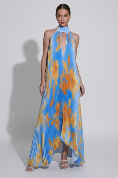 Rocío | Women's Halter Neck Pleated Maxi Dress